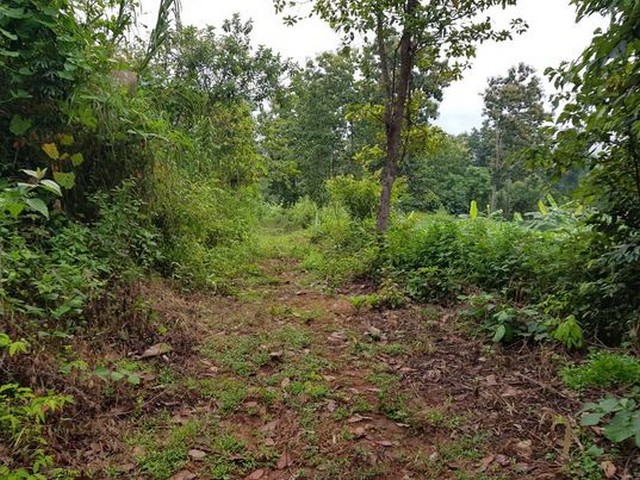 ขายที่ดิน 1-1-63ไร่ 750,000 บาท วิวเขา สวนกล้วยน้ำว้า ติดถนนบ้านแม่สาบ ต.สะเมิงใต้ อ.สะเมิง เชียงใหม่ที่ดินสวยวิวเขาสวนกล้วยน้ำว้าพื้นที่  1 ไร่-1 งาน-63 ตรว. โฉนด นส.4จ. พร้อมโอนราคา 750,000 บาท โอนคนละครึ่งหน้ากว้างติดถนน 53 เมตร ลึก 55 เมตรไฟฟ้ากำลังขยายเขตติดตั้งปีนี้ น้้ำประปา ถึงแปลงพิกัด บ้านแม่สาบ ตำบล สะเมิงใต้ อำเภอสะเมิง เชียงใหม่ใกล้ วัดแม่สาบใต้ ุ650 เมตรใกล้ โหม้งกระ�