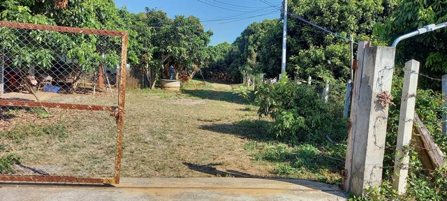 ขายที่ดินเกือบ 9ไร่ 1.9 ล้านบาท สวนลำไย ถนนคอนกรีต ไฟฟ้า หลังติดแม่น้ำลี้ ต.แม่ตืน อ.ลี้ ลำพูนขายที่ดินสวนลำไย โฉนดครุฑแดง พื้นที่ 8 ไร่ 3 งาน 19.4 ตารางวารวมราคา 1,9000,000 บาท (1.9 ล้านบาท) โอนคนละครึ่งหน้ากว้างติดถนนคอนกรีต ยาวประมาณ 277 เมตรท้ายแปลงติดแม่น้ำลี้ไฟฟ้า น้ำประปาถึงแปลงมีปั๊มน้ำสูบเข้าแท็ง เพื่อรดน้ำต้นไม้ ได้ตลอดใกล้ถนนหลัก 106 อ.ลี้ ประมาณ 500 เมตรใกล้ อบต.เวียง