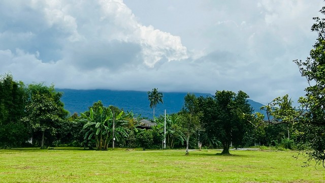 สวนผลไม้วิวเขา ติดลำธารน้ำ ใกล้เขาใหญ่ น้ำไฟพร้อม 1ไร่กว่า อ.ปากพลี นครนายก T.o86-3ol-6l6lครบทุกอย่าง สวนผลไม้อยู่ระหว่างให้ผลผลิต วิวเขา ติดลำธารน้ำ เพื่อนบ้าน ไฟฟ้าประปา โฉนดครุฑแดง ดินดีติดต่อ วรุณรัตน์ 086-301-6161พิกัด    ต.นาหินลาด อ.ปากพลี จ.นครนายกพื้นที่ 1 ไร่ 1 งาน 52 ตารางวา *****ราคาเพียง 2.2 ล้าน*****   (เฉลี่ย 4,000/ ตรว เท่านั้น). ที่ดินวิวเขา ติดลำธารน้ำธรรมชาติร่มรื่น อุดมสมบูรณ