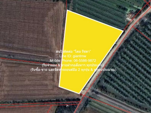 DSL-1046สนใจติดต่อ: โดม รัชดา (Exclusive Contract)โทร: 065-586-9872ไลน์ไอดี: 0655869872 หรือ giantmw หรือ @yem0202nFacebook: https://bit.ly/3vdegO8Fanpage: https://bit.ly/488TrlDรับจำนอง & ขายฝากอสังหาฯ.ทุกประเภทพิเศษ: รับซื้อ-ขาย และจัดหารถยนต์มือ 2 ทุกรุ่น & ทุกงบประมาณ.ขายที่ดินทางการเกษตร (ต้นดอกรัก) อ.นครชัยศรี นครปฐม 4-1-67 ไร่ ราคา 8,835,000 บาท .รายละเอียดทรัพย์: 1. ที่ดินเป็นเอกสารสิทธิ์โฉนด (น.ส.4 จ) ที่มีเนื้อที่ 4-1-67 ไร่ (1,767 ตร.ว.) และอยู่ติดถนนย่อย  2. ขนา�