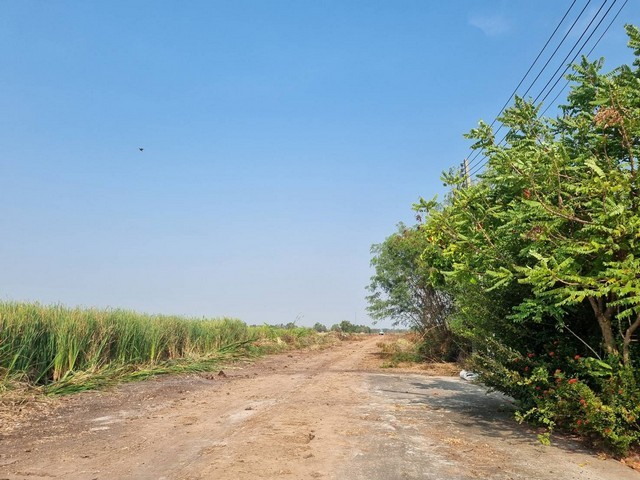 ขายที่ดิน6ไร่ผังสีม่วงจุดสีขาวเขตEEC อ.เมืองฉะเชิงเทราหน้ากว้าง 105 เมตร แปลงสวยติดถนนสาธารณะ ถนนกว้าง 8-10 เมตร รถใหญ่เข้าสะดวก เหมาะสร้างโรงงานราคาขาย 3,300,000 บาท / ไร่ (เฉลี่ยเพียง 8,250บาท/ตร.วา)ที่ตั้ง ถนนตลาดปองพล ตำบลคลองหลวงแพ่ง อำเภอเมืองฉะเชิงเทรา ฉะเชิงเทรา 24000https://www.facebook.com/profile.php?id=61581484955548ติดต่อ : คุณภัสพงณ์ 0634098164 , 0813987741Line : deedaa23เนื้อที่ 6 ไร่ หน้ากว้าง 105 เมตรผังเมืองสีม่วงอ่อนจ�