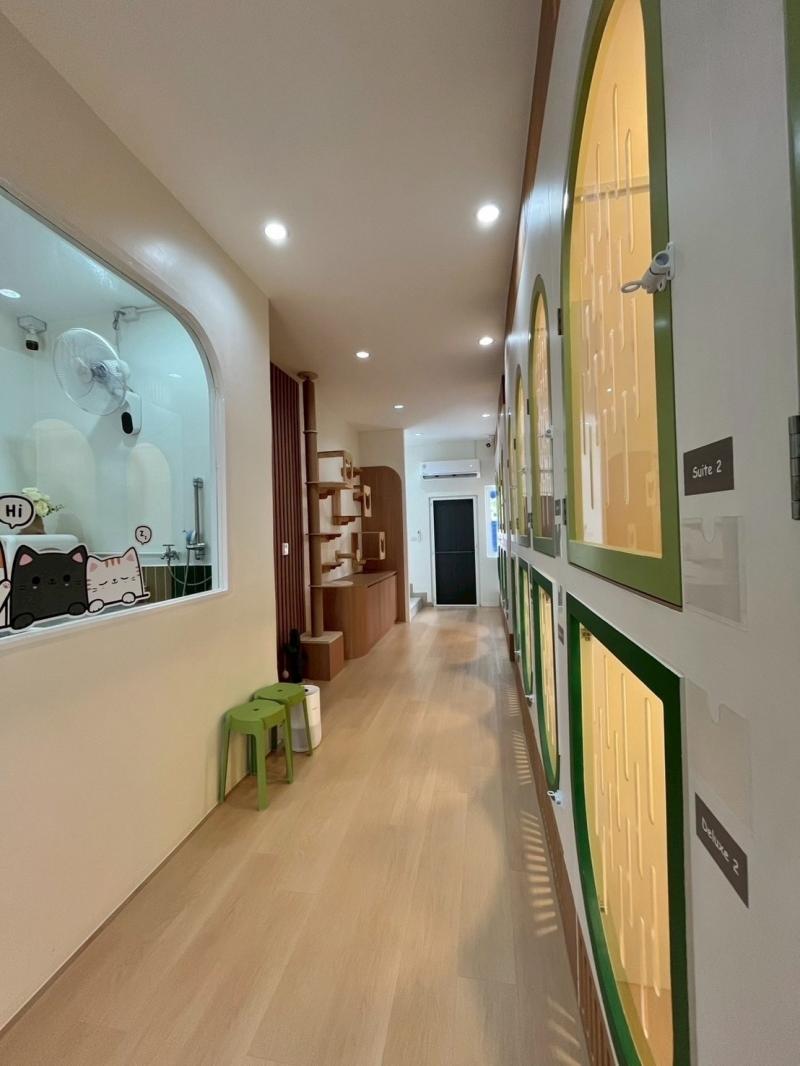 ติดต่อรายละเอียดเพิ่มเติมคุณนกยูง 088-964-6198LINE : nkyngsns. (มีจุด)เซ้งโรงแรมแมว + อาบน้ำ-ตัดขน&nbsp;#ลาดพร้าว41 #มีอุปกรณ์ครบพร้อมเปิด&nbsp;เพียง 900,000 บ #พร้อมแบรนด์&nbsp;- ค่าเช่าร้าน 20,000 บาท + เงินประกัน 40,000 บาท (ได้คืน)-พร้อมแบรนด์ และ Social ทุกแฟลตฟอร์ม- รายได้เดือนละ 50,000-150,000 บาท/เดือน- เฟอร์บิ้วอิน + ตกแต่ง + อุปกรณ์ภายในร้าน + ค่าแบรนด์- Google Review 5 ดาว มีลูกค้าประจำใจและติดบริการเพียบ- Follower : IG 500 +, Fb 400+, Tiktok 2,500+- �