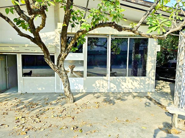 เซ็นทรัล ศาลายา 3.2 กม. ไร่ขิง สามพราน ตลาดน้ำดอนหวาย 1.5กม. ให้เช่าพื้นที่ พร้อมตัวอาคาร หน้ากว้าง 25ตร.วา. 100ตร.ม. รร.นานาชาติเซนต์อัลฟอนซัส 1.2กม. ทำเลดีติดถนน แหล่งชุมชน มีที่จอดรถสะดวกสบาย  เหมาะกับทำสำนักงาน 2 นอน 1 น้ำ 9,499 B-M. ซ. ไร่ขิง 38-44 พุทธมณฑล ม.มหิดล ศาลายา 5 กม.เดินทางสะดวก MRTหลักสอง Central Salaya, 3.2 km. RaiKhing SamPhran DonWai Floating Market 1.5km. Space for rent with building 25sq.wa. 100sq.m. frontage. St. Alphonsus Inter Sch 1.2km. Good location next to the road in a community area with convenient parking. Sui