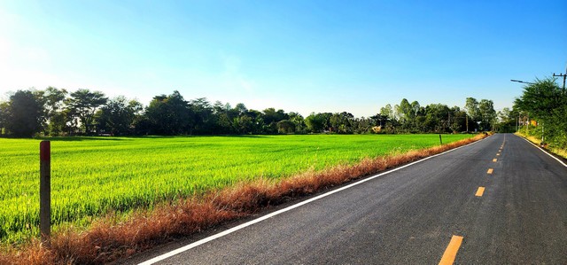 ขายที่ดิน 11 ไร่  ติดถนนลาดยาง ใกล้อบต องครักษ์ ใกล้มหาลัย  คลอง 16 ทำเลดี เหมาะค้าขาย เหมาะทำอพาร์ทเม้นท์ อยู่ใกล้มศว
