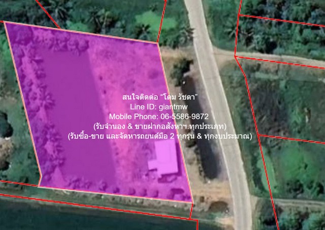 DSL-1102สนใจติดต่อ: โดม รัชดา (Exclusive Contract)โทร: 065-586-9872ไลน์ไอดี: 0655869872 หรือ giantmw หรือ @yem0202nFacebook: https://bit.ly/3vdegO8Fanpage: https://bit.ly/488TrlDพิเศษ: รับซื้อ-ขาย และจัดหารถยนต์มือ 2 ทุกรุ่น & ทุกงบประมาณ.ขายที่ดินติดถนน มีบ้านสวนผลไม้ มีบ่อปลา และมีโกดังเก็บของ พร้อมโรงจอดรถ 1-3-79 ไร่ ต.บึงน้ำรักษ์ อ.บางน้ำเปรี้ยว จ.ฉะเชิงเทรา ราคา 3.5 ล้านบาท .รายละเอียดทรัพย์: 1. ที่ดิน (โฉนด) แปลงมุม เป็นสวนผลไม้โดยรอบ และมีบ่อปลา แ�