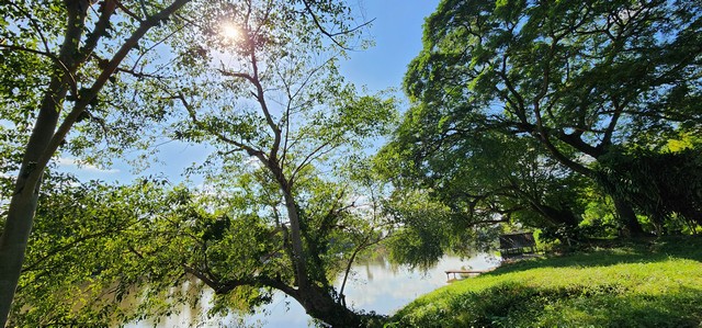 ขายที่ดินติดแม่น้ำแควน้อย เกาะสำโรง กาญจนบุรี *** ขายไร่ละ 2.35  ล้านบาท เนื้อที่ดิน 9-1-8 ไร่ ***(สามารถขอแบ่งซื้อครึ่งหนึ่งได้)ขายที่ดินติดแม่น้ำ แควน้อย เมืองกาญจนบุรี หน้าน้ำกว้าง ขนาด 9 ไร่ บรรยากาศวิวดีมาก น้ำใส ลมเย็น เหมาะสร้างบ้านพักตากอากาศ ทำการเกษตร ทำรีสอร์ท  ที่ตั้งที่ดิน  :  ตำบล เกาะสำโรง อำเภอเมืองกาญจนบุรี กาญจนบุรี 71000ขายที่ดิน เนื้อที่ดิน  9-1-8ไร่  อ.เม�