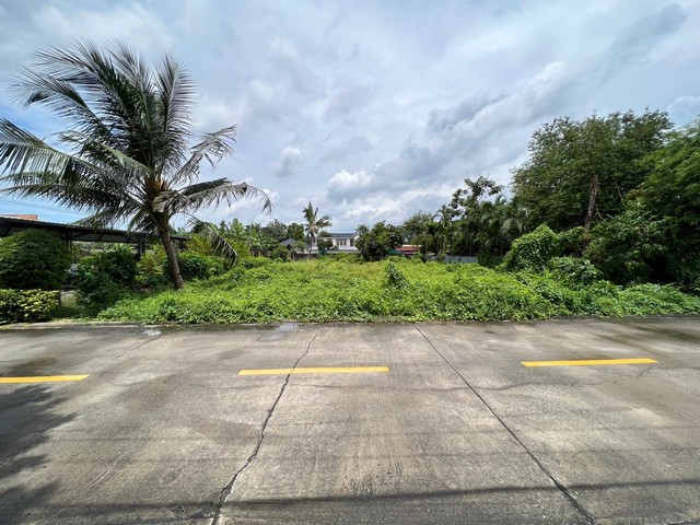 ขายที่ดินเปล่า เนื้อที่ 203 ตารางวา ซอยนนทบุรี 42ตรงข้าม สำนักงานสลากกินแบ่งรัฐบาล ติดถนนซอยคอนกรีตเสริมเหล็ก กว้าง 6 เมตรราคาขาย ตารางวาละ 75,000 บาทสถานที่ใกล้เคียง1. เซ็นทรัล รัตนาธิเบศร์2. ตลาดนกฮูก เลี่ยงเมืองนนท์3. MRT สถานีบางกระสอ4. บิ๊กซี ซูเปอร์เซ็นเตอร์ รัตนาธิเบศร์ 25. โรงเรียนอนุราชประสิทธิ์ที่ตั้ง ซอย นนทบุรี 42 ท่าทราย อำเภอเมืองนนทบุรี นนทบุรี---------------------------------