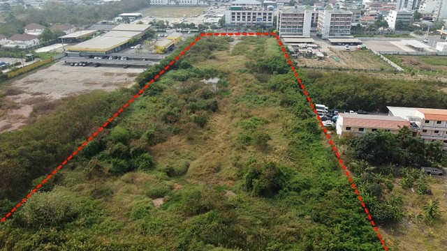  รหัสทรัพย์ (Code ID) :  PM-NBIGM0123  ราคา   225,017,000 บาท (ราคาต่อรองได้) ▸ เนื้อที่   4,870.50 ตร.ว (12 ไร่ / 70.5 ตร.ว) พื้นที่ใช้สอย - ตารางเมตร   ▸ - ห้องนอน - ห้องน้ำ           ▸ 1 ที่จอดรถ   ที่ดินว่างเปล่าหันไปทางทิศ   พิกัดทรัพย์ :  https://maps.app.goo.gl/SVyRVQsaxLsj2acVA  สถานที่ใกล้เคียง ▸ใกล้บิ๊กซ้ง มหาชัย ▸ใกล้โรงพยาบาลมหาชัย ▸ใกล้โลตัส สมุทรสาคร (มหาชัย 2) ▸ใกล้อินเด็กซ์ ลิฟวิ่งมอลล์ มหาชัย  สอบถามเพิ่มเติม / นัดชม โทร. 097-419-5982(พลอย) 