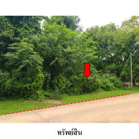   รหัสทรัพย์ (Code ID)  : PMS-8Z4764  ราคา    4,646,000   บาท  ▸ เนื้อที่   1 ไร่ 87.4 ตร.ว.     บ้านหันไปทางทิศ ตะวันออก  พิกัดทรัพย์ : https://maps.app.goo.gl/UCjLGXsrQFqke4Rw8  สถานที่ใกล้เคียง   ▸ใกล้โรงเรียนส่งเสริมศาสนาวิทยา  ▸ใกล้ศูนย์ส่งเสริมอุตสาหกรรมเขต 11  ▸ใกล้สวนสาธารณะเทศบาลหาดใหญ่   ▸ใกล้วิทยาลัยเทคนิคหาดใหญ่    สอบถามเพิ่มเติม / นัดชม โทร. 097-419-5982(พลอย) โทร. 096-932-4624(ออมสิน) Line : @panaya (มี@ด้านหน้า)  ปรึกษาสินเชื่อฟรี One Stop Service ดูแ�