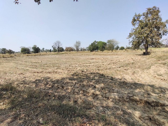 ขายที่ดิน 12 ไร่ 2 ล้าน ..ด่วน แบ่งขายได้ จ.นครราชสีมา เจ้าของขายเองราคา 2 ล้าน เบอร์ติดต่อ 091-7196971 หรือ 089-1211417  อำเภอห้วยแถลง สถานที่ใกล้เคียง ปั๊มปตท. โรงเรียน วัด..............................................................................................................................................................................................