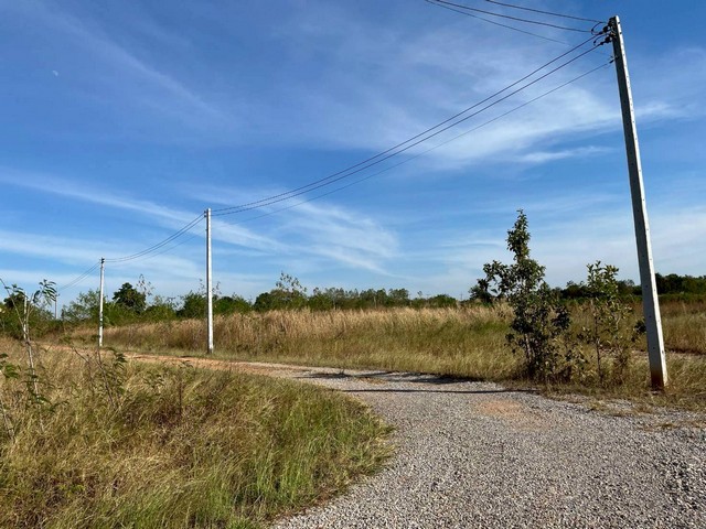 ขายที่ดิน 3-1-51ไร่ 2.3ลบ. ฟรีโอน ถนน น้ำประปา ไฟฟ้า ใกล้ถนนใหญ่ชัยภูมิ-สีคิ้ว ติดวิสาหกิจชุมชนโฮมฮักจัตุรัส ต.บ้านกอก อ.จัตุรัส ชัยภูมิขายที่ดิน พื้นที่ 3 ไร่ 1 งาน 51 ตรว.แปลงหัวมุม หน้ากว้างติดถนน 25 เมตร ลึก 119 เมตรเอกสารครุฑแดง นส4.จ. ไม่ติดภาระ พร้อมโอนขายราคา 2,300,000 บาท ฟรีโอนติดถนนสาธารณะ ดิน-หินคลุกไฟฟ้า น้ำประปาภูมิภาค เข้าถึงมีเพื่อนบ้าน ติดศูนย์การเรียนรู้พิกัด �