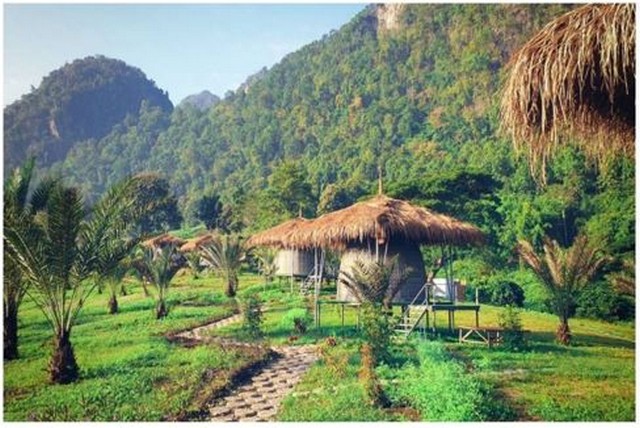 ขายที่ดิน36ไร่ 108ลบ.พร้อมกิจการรีสอร์ท คาเฟ่ น้ำพุร้อน สาธารณูปโภคครบ ติดถนนหลวง107 เชียงใหม่-ฝาง ต.ศรีดงเย็น อ.ไชยปราการ เชียงใหม่พิกัด บ้านปางมะขามป้อม ม.14 ติดถนนหลวง107 เชียงใหม่-ฝาง ต.ศรีดงเย็น อ.ไชยปราการ เชียงใหม่ขายพร้อมกิจการ รีสอร์ท โฮมสเตย์ 4 ห้อง แคมป์ลานกางเต๊น , คาเฟ่, รีเซฟชั่นพื้นที่รวม 36ไร่ ขายราคา 108ล้านบาท (108,000,000 บาท) โอนคนละครึ่ง ต่อรองได้1. มีเอกสาร โฉ�