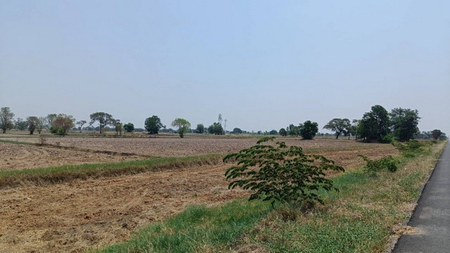 ขายที่ดิน 11 ไร่ 2 งาน 39 ตารางวา เจ้าของขายเอง  จังหวัดสุรินทร์ที่ตั้ง : 2081 ตำบลยะวึก อำเภอชุมพลบุรี จังหวัดสุรินทร์ 32190https://maps.app.goo.gl/hQ2QEvZDroiT5fcr7?g_st=alขนาดที่ดิน : 11 ไร่ 2 งาน 39 ตารางวารายละเอียดขาย 10 ไร่ หรือแล้วแต่ตกลงขายด่วน ที่ดินสวยใกล้สนามบินบุรีรัมย์ หน้ากว้างติดถนนหลวง อำเภอชุมพลบุรี จังหวัดสุรินทร์สถานที่ใกล้เคียง - ห่างจากสนามบินบุรีรัมย์  26 กม.ราคาไร่ละ 550,000 บาทราคาสาม�