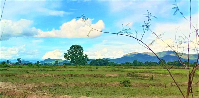 ขายที่ดินที่นา 365ตรว. 700,000บ. วิวเขา ถนน น้ำ ไฟฟ้า หลังที่ว่าการอำเภอ ต.บ้านธิ อ.บ้านธิ ลำพูนขายที่ดินทุ่งนา วิวเขา วิวดอย อนาคตไกลเอกสารโฉนดครุฑแดง พื้นที่ 3งาน 65 ตรว.ถ้ารวมที่งอกด้วย พื้นที่รวมประมาณ 1 ไร่ขายราคา 700,000 บาท โอนคนละครึ่ง ต่อรองได้หน้ากว้าง ประมาณ 17 เมตร ลึก 84 เมตรพิกัด อยู่บริเวณหลังที่ว่าการ อำเภอบ้านธิ ต.บ้านธิ อ.บ้านธิ ลำพูนเข้าซอยจากถนนลาดยาง 54เมตร