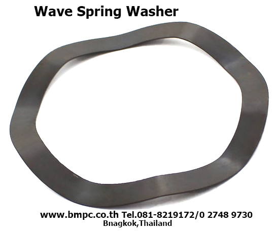 Schnorr, Disc spring, แหวนสปริงแผ่น, แหวนล๊อกคู่กันคลาย, Wave washer, แหวนกะทะ, Serrated Safety Washers, Disc lock washer, locking disc spring