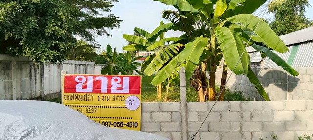 ZK600ขายที่ดินราคาถูก ทำเลดี ที่ตั้ง    ต.พระลับ อ.เมือง จ.ขอนแก่นเนื้อที่   0-1-09 ไร่เหมาะสำหรับ   สร้างบ้านอาศัย  สถานที่ใกล้เคียง- รพ.จิตเวชขอนแก่น- วัดทุ่งเศรษฐี- โรงแรมอะคันทรี่ ขอนแก่นพิกัดแปลงhttps://maps.app.goo.gl/DKZDgSAomPy7uULX8?g_st=alราคา  4,500,000 บาทติดต่อ  คุณสา  083-161-9297คุณอาม 082-123-2883คุณเกรท 097-056-4510