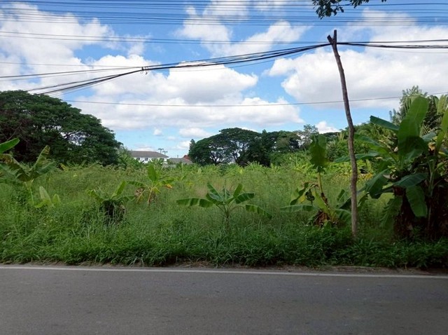 โซนแม่เหียะ ขายที่ดินทำเลดี 25,000 บาท/ตร.ว. 4-2-31 ตรว. #พื้นที่สีเหลือง #เหมาะสำหรับการลงทุน/พัฒนาโครงการ บรรยากาศสงบ รายล้อมด้วยชุมชนคุณภาพเนื้อที่: 4 ไร่ 2 งาน 31 ตร.ว.ราคาขาย: 25,000 บาท/ตร.ว. ทำเล: บ้านดอนปิน ที่ดินอยู่ก่อนถึงหมู่บ้านรัตนรักษ์ เข้า-ออกสะดวก ใกล้เมืองแม่เหียะ จุดเด่นที่ดินพื้นที่ขนาดใหญ่ เหมาะสำหรับปลูกบ้านจัดสรร / โครงการอสังหา / บ้านพักอาศัยอยู่ใน โซนสี�