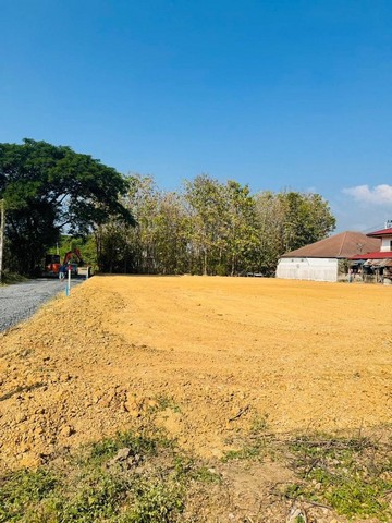 ขายที่ดินเปล่าตรว.ละ 18,000 บาท เนื้อที่ 359 ตรว. #หนองควาย #หางดง ใกล้ #แยกพืชสวนโลก #โรงเรียนสารสาสน์วิเทศล้านนา #สนามบินเชียงใหม่ #กาดฝรั่ง เดินทางสะดวกสบาย เข้าเมืองง่ายราคารวม 6,462,000 บาทLand for sale at 18,000 baht/sqw. Area 359 sqw. #NongKwai #HangDong near Royal Flora #Rajapruek Intersection #Sarasas Witaed Lanna School Chiang Mai #Airport #KadFarang Convenient transportation Easy to get into the cityTotal price 6,462,000 bahtอยากได้อสังหาโซนไหน สอบถามเข้ามาได้เลยต้องการอสังหาแบบไหนที่ Northern Land Chiangmai เรามีครบ ครอบคลุม #�