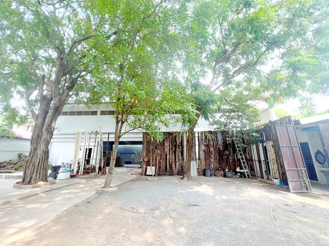 ถูกที่สุดในโลก อาคาร 2 ชั้น 1ไร่ 35ตร.วา. 1,725ตร.ม. ทองหล่อ 21-25 ซ.สุขุมวิท 47-51 MRT รฟม. 1.6 กม.เช่า-ขายที่ดินพร้อมรร.อนุบาลนานาชาติสี่พี่น้อง700 ม.วิวสวน บรรยากาศ ร่มรื่น 5นอน 5น้ำ 149,998 B-M ขาย 260 ล้าน  ตลาดเอกมัย 1 กม.The cheapest in the world 2-storey building 1Rai 32sq.w. 1,725sq.m. Thonglor 21-25 Soi Sukhumvit 47-51 MRTA 1.6km. For rent-sale land with SiPhiNong Inter Kindergarten 700m. Garden view shady atmosphere 5bed 5bath 149,998B-M for sale 260 million Ekkamai Market 1 km.ทองหล่อ 21-25 ถ.สุขุมวิท เพชรบุรีคลองตันเหนือ วัฒนา กรุงเทพมหานคร1 ไร่ 35ตร.ว. 1,725 ตรม1R