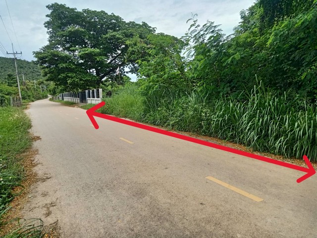 ขายที่ดินเปล่า 222ตรว. 1ลบ. ถนน น้ำ ไฟฟ้า3เฟส หน้าแปลงหลังวัดป่าตึงงาม ใกล้ถ.ซุปเปอร์2.5กม. ต.ป่าสัก อ.เมืองลำพูนขายที่ดินเปล่า เอกสารโฉนดครุฑแดง พร้อมโอนพื้นที่ 222ตรว. หน้ากว้าง 26 เมตร ลึก 37 เมตรขายราคา 1 ล้านบาท (1,000,000 บาท) โอนคนละครึ่งติดถนนลาดยาง2เลน น้ำประปา ไฟฟ้า3เฟส อยู่หน้าแปลงทำเลเหมาะสร้างบ้าน ร้านค้า ธุรกิจ มีเพื่อนบ้านอยู่เยื้องศรีลำดวนแอร์ หลังวัดป่าตึงงา�