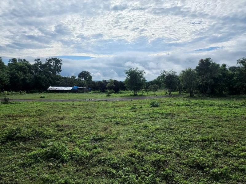 ขายที่ดิน 118ไร่2งาน 47.4ลบ. โฉนดและนส3ก. ไฟฟ้า น้ำบาดาล ต.ทุ่งปี้ อ.แม่วาง เชียงใหม่พื้นที่ทั้งหมด 118ไร่2งาน ขายไร่ละ 400,000 บาทราคาขายรวม 47.4 ลบ. ( 47,400,00 บาท )ค่าโอนค่าธรรมเนียมทุกอย่างจ่ายคนละครึ่ง ระหว่าผู้ขายกับผู้ซื้อเป็น โฉนด 7 แปลง 41 ไร่ 2 งาน 78 ตารางวาเป็น นส3ก. 13 แปลง 76 ไร่ 3 งาน 25 ตารางวามีบ่อบาดาล2บ่อ หม้อไฟ 15A3หม้อพิกัด ต.ทุ่งปี้ อ.แม่วาง เชียงใหม่ใกล้ ไร่บำรุงผล 4.7 กม.ใกล้ จุดท