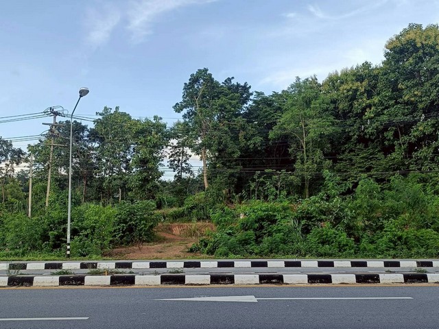 ขายที่ดิน 2-3-81ไร่  8.3ลบ. ติดถนนบายพาส101 AH13 เยื้องโรงโม่ ส.เต็งไตรรัตน์ ต.ผาสิงห์ อ.เมือง น่านขายที่ดินติดถนนเส้นน่าน-ทุ่งช้าง101 บ้านห้วยส้มป่อย พื้นที่ 2 ไร่ 3 งาน 81 ตารางวาขายไร่ละ 2.8 ล้านบาท / (ตรว.7000บ.)ขายราคารวม 8,267,000 บาท  ราคาต่อรองได้หน้ากว้าง 72 เมตร ลึก 77 เมตรติดถนนบายพาส 101 AH13 เยื้องโรงโม่ ส.เต็งไตรรัตน์ห่างตัวเมืองน่านประมาณ 6 กิโลเมตร*** สนใจสอบถาม ***โทร : 0945735168Line ID : piyawitnoomWhatsApp : +6694573