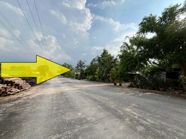 ขายที่ดินเท่าราคาประเมิน รังสิต คลอง9 ปทุมธานีขายราคา 4 ล้านบาท ขายเท่ากับราคาประเมินเลยจ้า  *ถมแล้ว เนื้อที่ 1-0-2 ไร่ขายที่ดินคลอง 9 รังสิต 1-3 ไร่  ติดถนนคอนกรีต 12 เมตร ขายเท่าราคาประเมิน มีไฟฟ้า มีประปา ครบ ใกล้แหล่งชุมชน เหมาะทำโกดัง โรงงาน ออฟฟิศบริษัท ที่ตั้ง: ตำบล บึงสนั่น อำเภอธัญบุรี ปทุมธานี 12110ขายที่ดินเนื้อที่ดิน 1-3 ไร่  - กว้าง 40 เมตร  สำหรับ 1 ไร่  หรือสนใจซื้