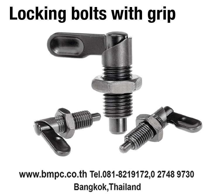 Locking bolt, Index plunger, Plunger with pin, สลักล๊อกตำแหน่ง, Plug indexing, Disc spring