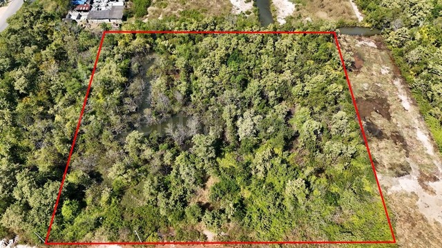 ที่ดินเปล่า 4 ไร่ แบ่งขายได้แปลงละ 1 ไร่ บางปะกง - ฉะเชิงเทรา ราคาถูก