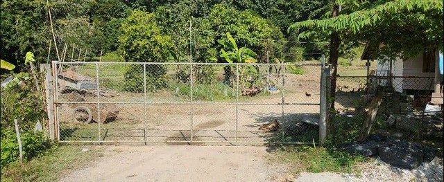 ขายที่ดิน ดอยปู่ไข่  บ้านดู่ ซอยปู่ไข่ 10 เชียงราย จำนวน 11 ไร่ 1 งาน