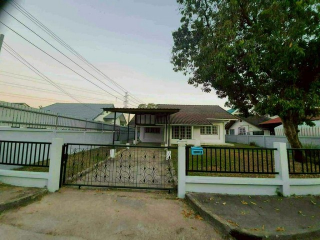 ให้เช่าบ้าน เนื้อที่กว้าง ทำเลดี เฟอร์ครบ ต้นเปา สันกำแพง 