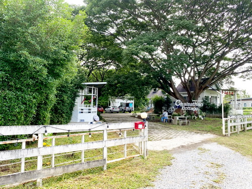 1335.ที่ดินกิจการรีสอร์ท 356 ตร.ว. ต. ไชยสถาน อ.สารภี จ.เชียงใหม่2508ACL2033 ที่ดินกิจการรีสอร์ท 356 ตร.ว. หน้ากว้าง 41.4 เมตร ลึก 46  เมตร พื้นที่ใช้สอยรวม 172.85 ตร.ม. มีใบอนุญาตและแบบแปลนก่อสร้างพร้อมผู้เช่ารายเดือนและรายวัน มีรั้วล้อมรอบเป็นเสาปูน ไม้ฝาเชอร่า ภายในรีสอร์ทประกอบด้วย สิ่งปลูกสร้างทั้งหมด 4 หลัง แต่ละหลังมี เตียงนอน ตู้เสื้อผ้า โต๊ะ ทีวี แอร์ ไมโครเวฟ ตู้เย็น เครื่อ