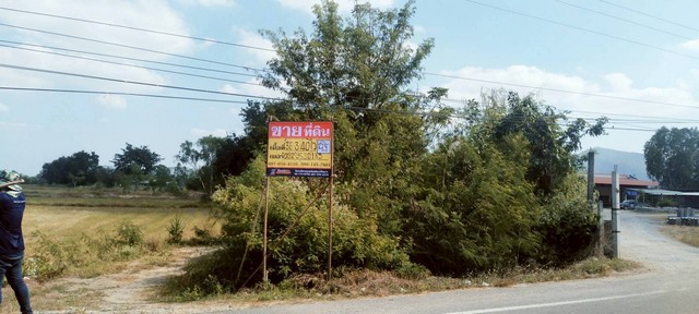 ขายที่ดินเปล่า แปลงใหญ่ 36-3-40 ไร่  หนองยาว  ลาดยาว  นครสวรรค์   ZK589 