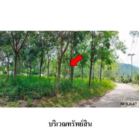 ขายที่ดินว่างเปล่า ถนน สายตลิ่งงาม-ทะเล-หัวถนน (ทล.4170) ตำบล หน้าเมือง อำเภอ เกาะสมุย จังหวัด สุราษฎร์ธานี