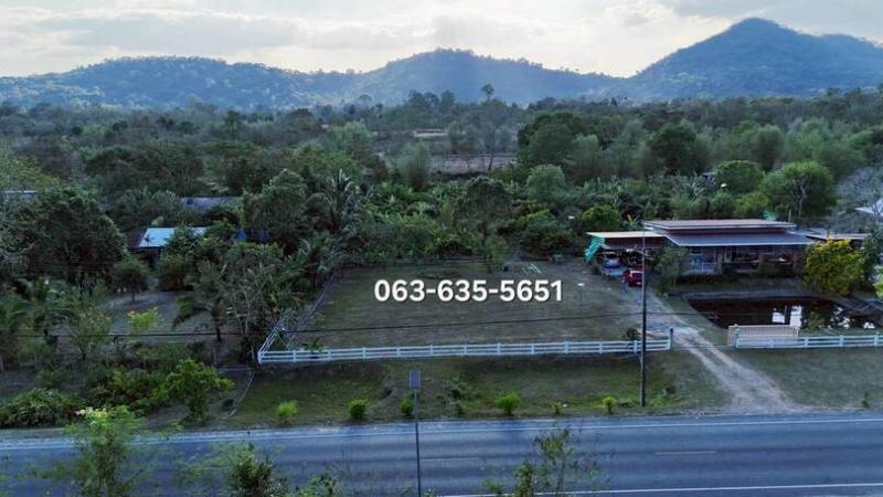 สนใจมาเที่ยวชมโทร ติดต่อ นกได้หลายช่องทางนะคะโทร. 061-494-9665โทร. 063-635-5651 (เบอร์นี้ไลน์เต็มค่ะ)ไลน์ไอดี : @nyland789(ไลน์คลิ๊กแล้วทักมาได้เลยค่ะ) https://lin.ee/R8sP0rj____________________________สวนไม้ผลติดถนนหลักเขาพระ วิวภูเขา ทำเลดี ใกล้อ่างเก็บน้ำห้วยปรือ 1 ไร่ 2 งาน ยกแปลง 5.7 ล้าน (เฉลี่ย ตรว.ละ 9,500 บาท)เอกสารสิทธิ์ น.ส.4 จ. โฉนดครุฑแดง ต.เขาพระ อ.เมือง จ.นครนายกสูงจากระดับน้ำทะเล 40 - 45 เมตรที่ดินแปลงนี้ติดริมถน