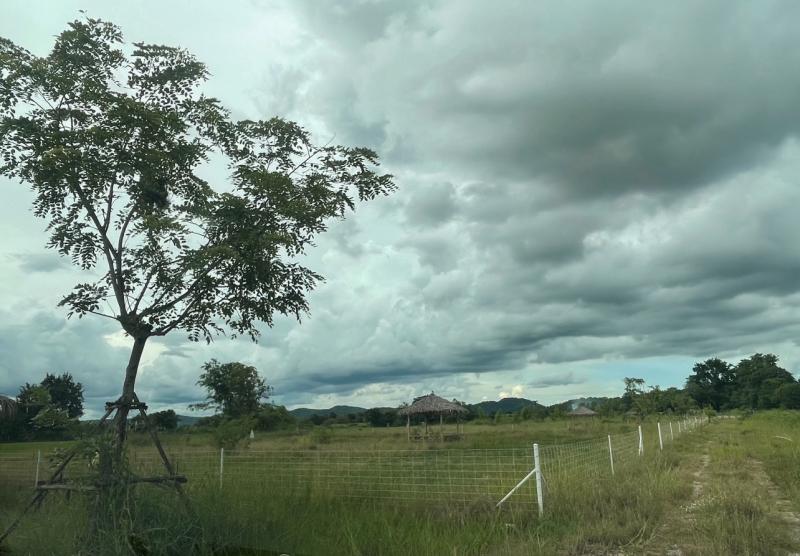 ขายที่ดินเปล่า ติดถนนใหญ่ ทำเลดี พร้อมสระเก็บน้ำส่วนตัว อ.บ้านโป่ง จ.ราชบุรี