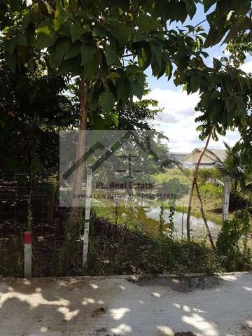 ให้เช่าที่ดิน 1 ไร่ ย่านพุทธมณฑลสาย1 สายใต้ใหม่ ตลิ่งชัน ( เช่าระยะยาวได้ ด้านหลังติดคลอง )