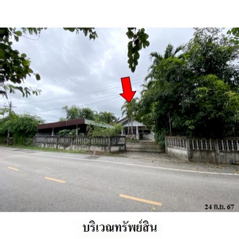 ขายบ้านเดี่ยว ถนน ถีนานนท์ (ทล.213) ตำบล สมเด็จ อำเภอ สมเด็จ จังหวัด กาฬสินธุ์