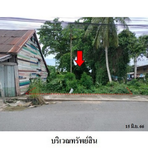ขายที่ดินว่างเปล่า ถนน ราษฎร์บำรุง ตำบล ท่าข้าม อำเภอ พุนพิน จังหวัด สุราษฎร์ธานี