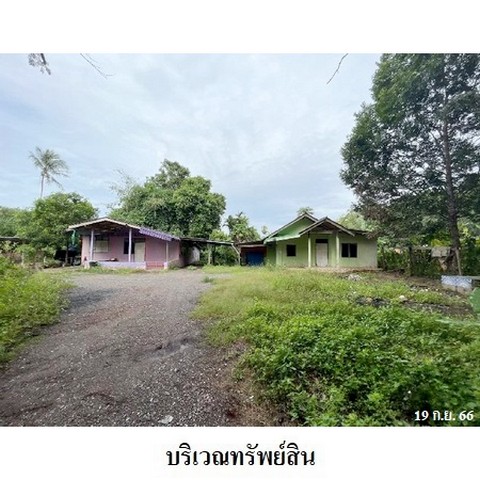 ขายบ้านเดี่ยวถนน สายแยกทางหลวงหมายเลข 41-วัดถ้ำสิงขร ตำบล ท่าโรงช้าง อำเภอ พุนพิน จังหวัด สุราษฎร์ธานี