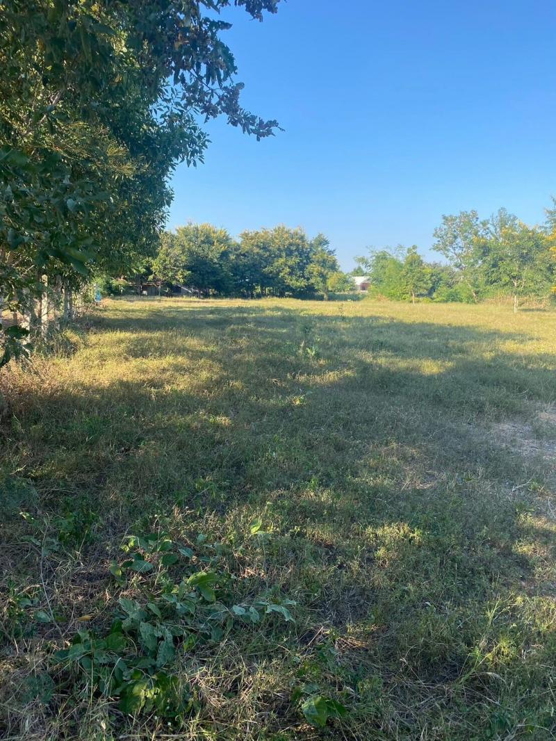 ขายที่ดินเปล่า เจ้าของขายเอง 1 ไร่ บ.จันดุม ต.ใหม่ อ.โนนสูง จ.นครราชที่ตั้ง :ตำบลใหม่ อำเภอโนนสูง จังหวัดนครราชสีมาขนาดพื้นที่  :  1 ไร่รายละเอียดที่ดินเปล่าริมบึง ในเขตเทศบาล โฉนด 1 ไร่ถ้วน ที่ดินถมแล้ว สถานที่ใกล้เคียงวัดจันดุมศูนย์สาธิตการตลาดบ้านจันดุมราคา 5OO,OOO บาทสนใจติดต่อO6149559O5