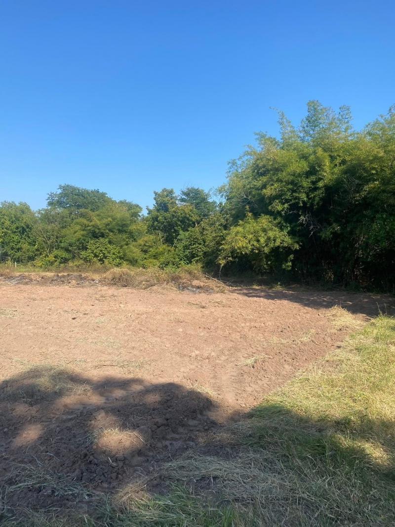 ขายที่ดินในเขตเทศบาล โฉนด 1 ไร่ต.ใหม่ อ.โนนสูง จ.นครราชสีมา ที่ตั้ง : บ.ถนนถั่ว ต.ใหม่ อ.โนนสูง จ.นครราชสีมา ขนาดพื้นที่ : 1 ไร่รายละเอียดที่ดินในเขตเทศบาล โฉนด 1 ไร่ถ้วน  สถานที่ใกล้เคียงวัดบ้านถนนถั่วโรงเรียนบ้านถนนถั่ว(กองทัพบกประชาสามัคคี)บิ๊กซีมาร์เก็ตโนนสูงวัดสมานมิตรราคาขาย 3OO,OOO บาทสนใจติดต่อO61 49559O5 