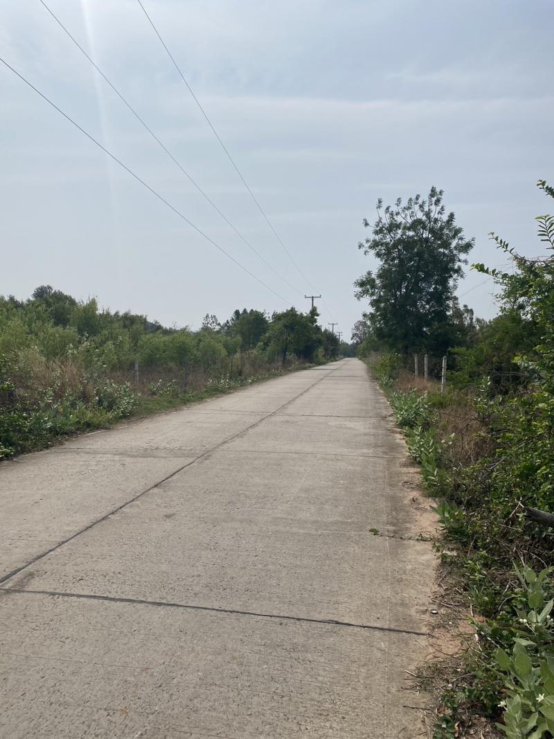 ขายที่ดินเปล่า 1งาน 48 ตร.วา หลังรพ.โนนแดง ที่ตั้ง : บ้านหนองมน ต.โนนแดง อ.โนนแดง จ.นครราชสีมา ขนาดพื้นที่ : 1งาน 48 ตารางวา รายละเอียดโฉนดครุฑแดง ที่ดินเปล่า 1งาน 48 ตร.วา หลังรพ.โนนแดง สถานที่ใกล้เคียงตลาดสดสุขาภิบาลประทายวัดตะคร้อราคา  18O,OOO บาท สนใจติดต่อO6I49559O5  O94393665I 