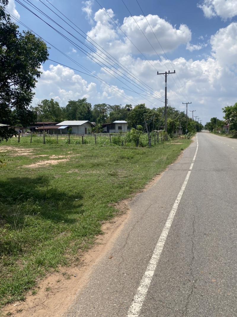 ขายที่ดิน 3 ไร่ 2 งาน ต.กระทุ่มราย อ.ประทาย โคราช  ที่ตั้ง :  ต.กระทุ่มราย อ.ประทาย โคราช ขนาดพื้นที่ : 3 ไร่ 2 งาน รายละเอียดที่ดินเปล่า บ.ไร่อ้อย ต.กระทุ่มราย อ.ประทาย โคราช โฉนด 3 ไร่ 2 งาน ที่ถมแล้ว ถนนลาดยาง ไฟฟ้า ประปา ครบ สถานที่ใกล้เคียง- ตลาดสดสุขาภิบาลประทาย- วัดตะคร้อราคา 1.25 ล้านบาทสนใจติดต่อO6I 49559O5