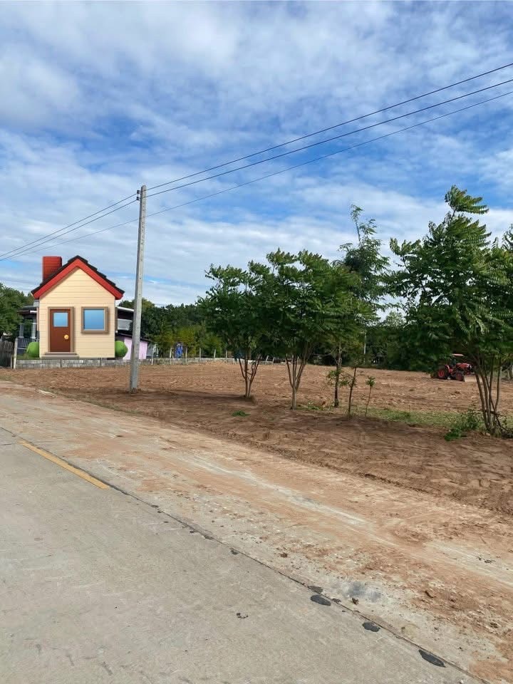 ขายที่ดินเปล่า โฉนด 1 ไร่  หลัง รพ.บัวใหญ่ โคราช ที่ตั้ง : บ.หนองพะเนียด ต.บัวใหญ่ อ.บัวใหญ่ จ.นครราชสีมาขนาดพืนที่ : 1 ไร่ รายละเอียดที่ดินเปล่า หลัง รพ.บัวใหญ่ โคราช โฉนด 1 ไร่ ถมแล้ว น้ำ ไฟ ครับ ทางคอนกรีต 2 ด้าน หน้า - หลัง เจ้าของVๅยเองสถานที่ใกล้เคียง- รพ.บัวใหญ่ 2.5 กม.- โลตัสบัวใหญ่ 3 กม.-  ปตท.เซเว่น 3 กม.- ศูนย์ราชการบัวใหญ่ 4 กม.-  ถนนมิตรภาพ 16 กม.ราคางานละ 2.5 แสนบๅท และ 3.5 แสนบๅท 