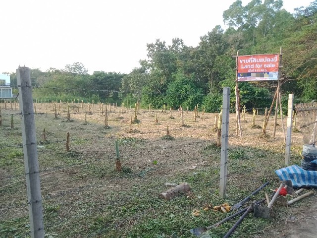 ขายที่ดินเปล่า เนื้อที่ 1-1-11.5 ไร่ ซอยหมู่บ้านน้ำผึ้งวิลเลจ อ.สารภี เชียงใหม่หน้ากว้าง 38 เมตร ลึก 62 เมตรราคาขายตารางวาละ 12,000 บาทสถานที่ใกล้เคียง1. เวียงกุมกาม2. วิทยาลัยเทคนิคสารภี3. วัดกองทราย4. ไทวัสดุ เชียงใหม่5. บุญถาวร สาขาเชียงใหม่ที่ตั้ง ตำบล หนองผึ้ง อำเภอ สารภี เชียงใหม่--------------------------------------------------------สนใจชมบ้านหรือขอข้อมูลเพิ่มเติมได้ที่คุณเอียดTel. : 081-815-5028ID Line : 0818155028