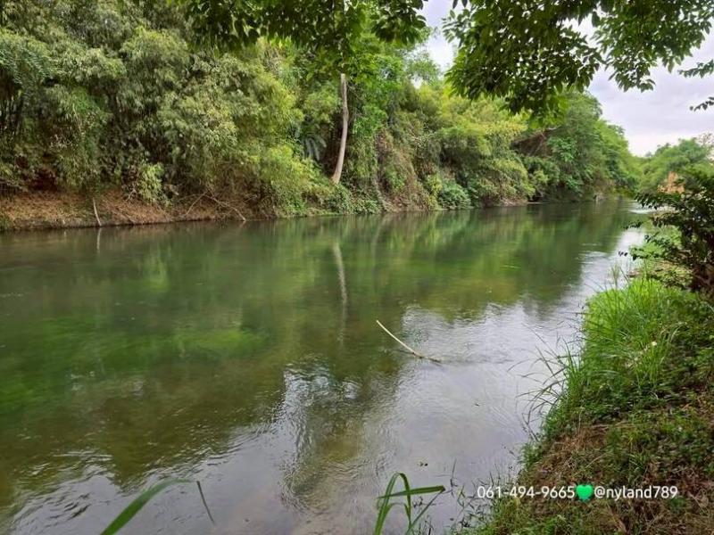 สนใจมาเที่ยวชมโทร ติดต่อ นกได้หลายช่องทางนะคะโทร. 061-494-9665โทร. 063-635-5651 (เบอร์นี้ไลน์เต็มค่ะ)ไลน์ไอดี : @nyland789(ไลน์คลิ๊กแล้วทักมาได้เลยค่ะ) https://lin.ee/R8sP0rj____________________________ที่ติดแม่น้ำแปลงเล็กแปลงเดียวในซอยนี้ 2 ไร่ 3 งาน 76 ตรว. 11,760,000 (ตรว.ละ 10,000)ที่สวยติดแม่น้ำนครนายก น้ำล่องแก่งได้ ต.สาริกา อ.เมืองนครนายก2 ไร่ 3 งาน 76 ตรว. 11,760,000 (ตรว.ละ 10,000) แปลงอื่นในซอยนี้ต้องใช้เงินเกิน 25-30 ล้านอัปแล้วค่ะโฉนดค�