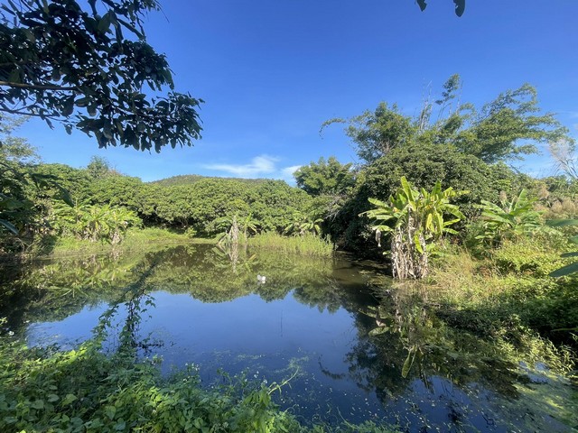 ขายที่สวนบรรยากาศดี  วิวดอย บ้านสบสะป้วด อ.แม่ทา จ.ลำพูนบรรยากาศดี มีลำใย 120 ต้น ผลไม้อื่น มากมาย  ห่างจาก ถนนหลวง เชียงใหม่-ลำปาง 10 กม.  ห่างจาก โรงพยาบาลแม่ทา 10 กม. ห่างจาก เชียงใหม่ 50 กม. พื้นที่เหมาะทำการเกษตร บ้านสวน หรือซื้อเก็บ เป็นโฉนดเพื่อการเกษตร มีบ้านสวน 1 หลัง  สามารถเปลี่ยนชื่อได้ตั้งแต่เดือนกุมภาพันธ์69 เป็นต้นไปน้ำ(บ่อบาดาล)-ไฟ-Internet พร้อม มีบึงน้ำธรรมช