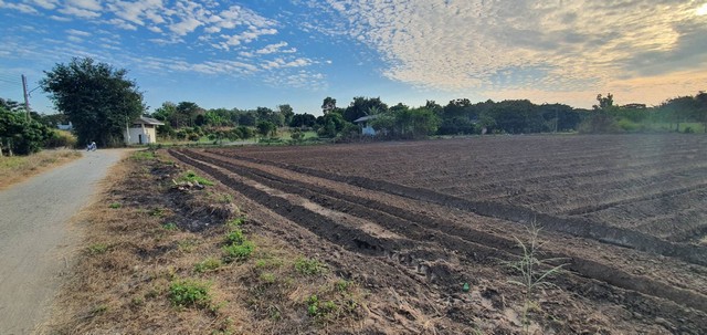 ขายที่ดิน 1-2-4ไร่ 1.51ล้านบาท วิวเขา แปลงมุม ถนน น้ำ ไฟ ต.ทุ่งปี้ อ.แม่วาง เชียงใหม่ขายที่ดินเปล่า วิวเขา บรรยากาศดีพื้นที่ 1 ไร่ 2 งาน 4 ตารางวาขายราคา ตาราวา ละ 2500 บาทราคารวม 1,510,000 บาท ค่าโอนคนละครึ่งเอกสารโฉนดครุฑแดง แปลงมุม ติดถนนหินคลุก 2 ด้านหน้ากว้าง 69 เมตร ลึก 41 เมตรไฟฟ้า น้ำประปาหมู่บ้าน ผ่านหน้าแปลงใกล้ บุญสม ฟาร์ม สาหร่ายเกลียวทอง 400 ม.ใกล้ เทศบาล ต.บ้านกาด 2.9 กม.ใก�