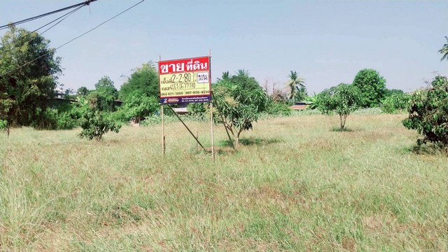 ขายที่ดิน 2-2-80 ไร่  ติดถนนหลักบ้านแก่ง-นครสวรรค์   เมืองนครสวรรค์   ZK605